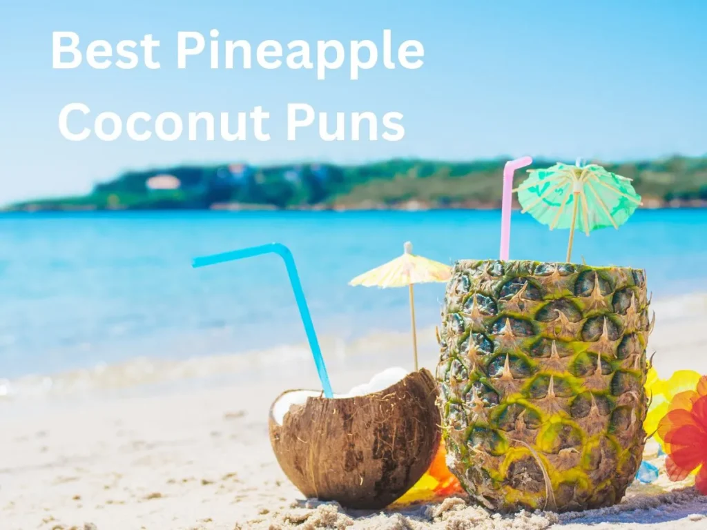 Best Pineapple Coconut Puns