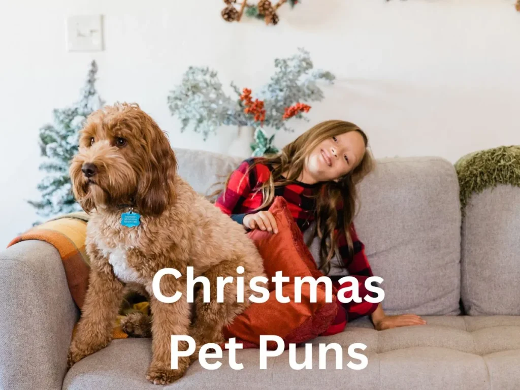 Christmas Pet Puns