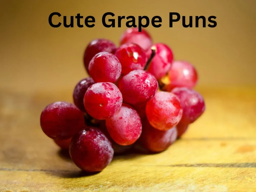 Cute Grape Puns