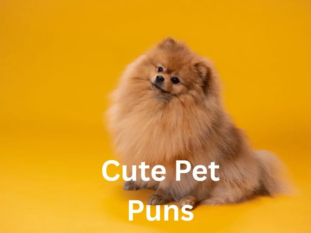 Cute Pet Puns