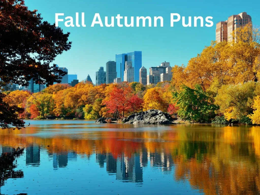 Fall Autumn Puns