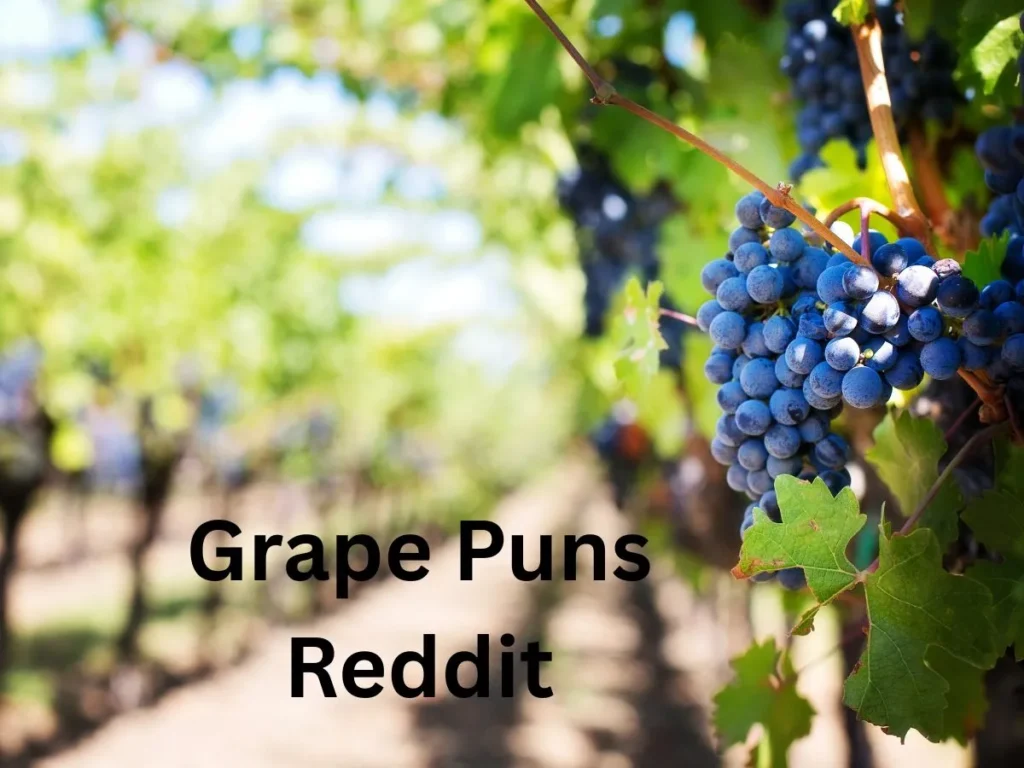 Grape Puns Reddit
