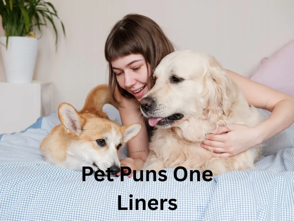 Pet Puns One Liners