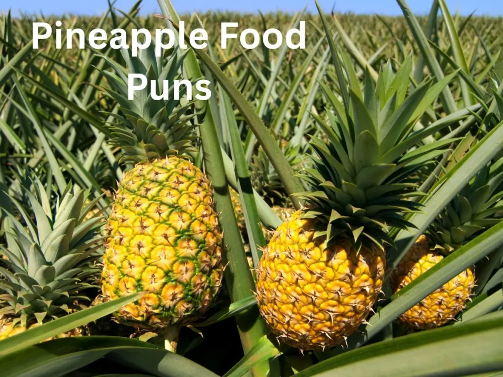Pineapple Food Puns