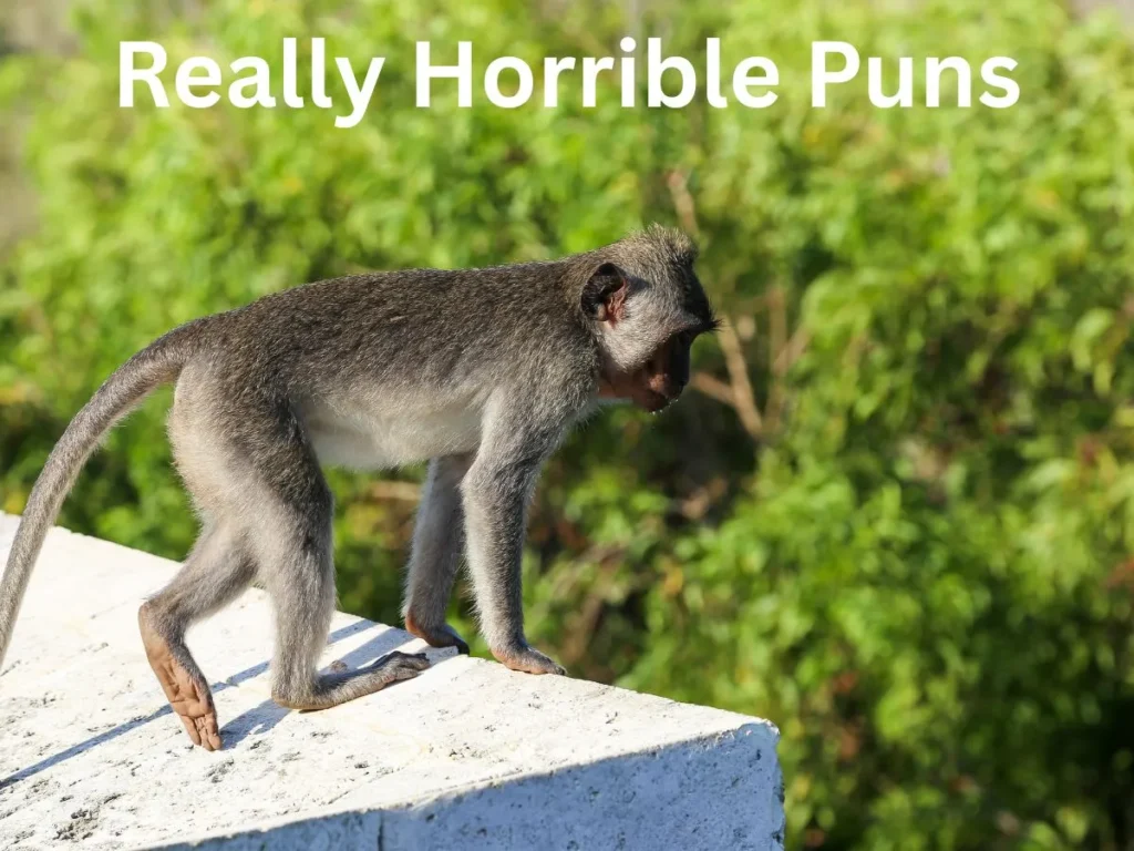 Really Horrible Puns