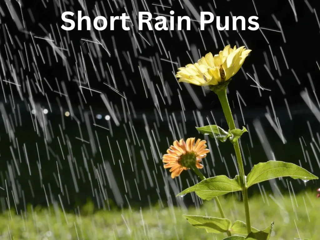 Short Rain Puns
