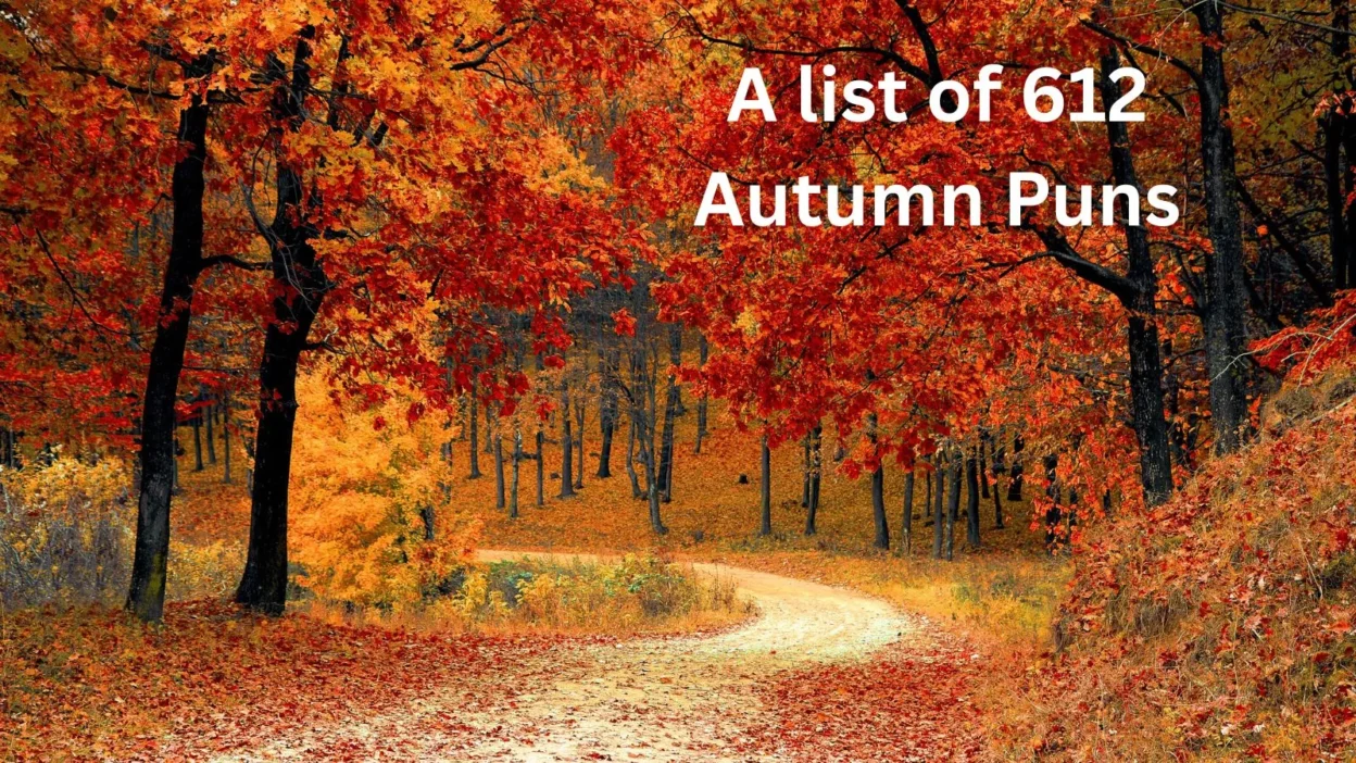 Autumn Puns