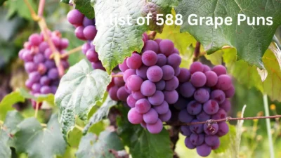 Grape Puns