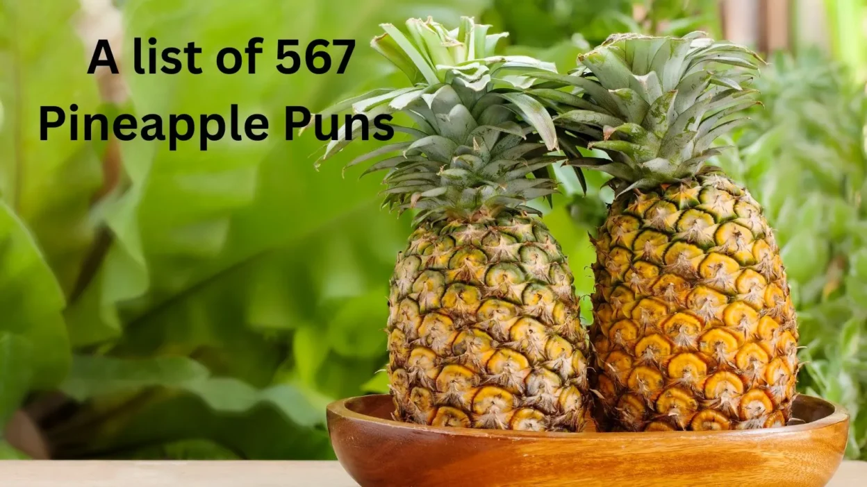 Pineapple Puns