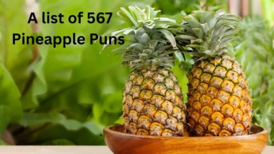 Pineapple Puns