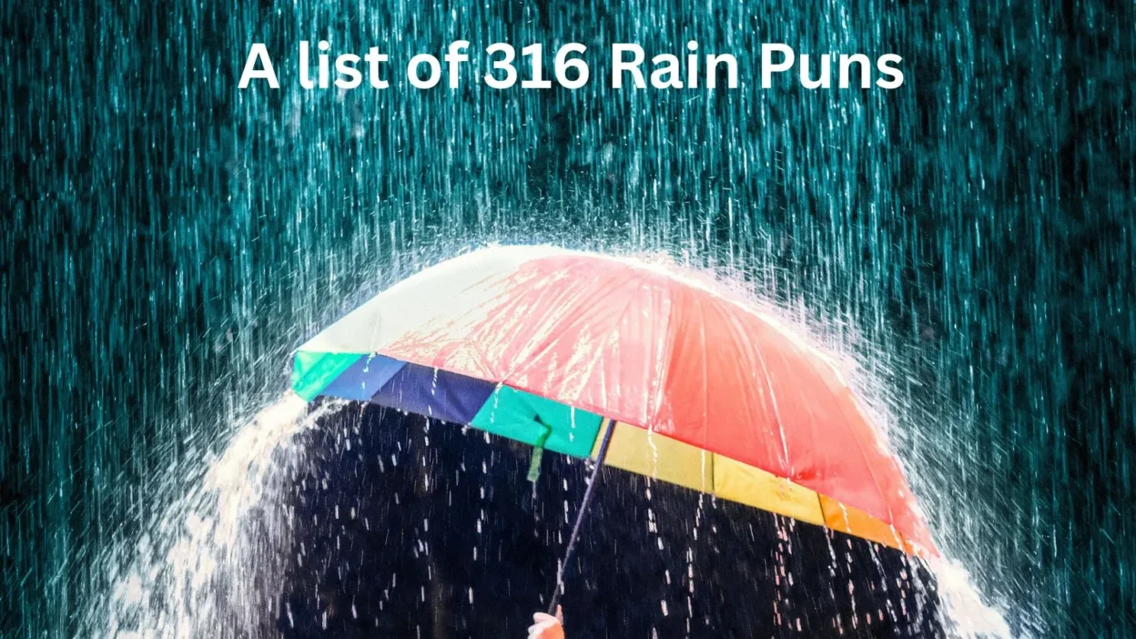 Rain Puns
