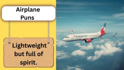 Airplane Puns