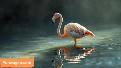 Flamingo Puns