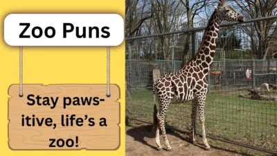 Zoo Puns