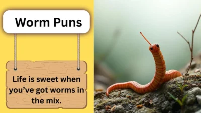 Worm Puns
