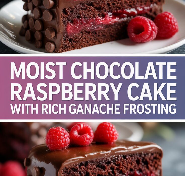 Indulge in Decadent Chocolate Cake with Fresh Raspberry Bliss
